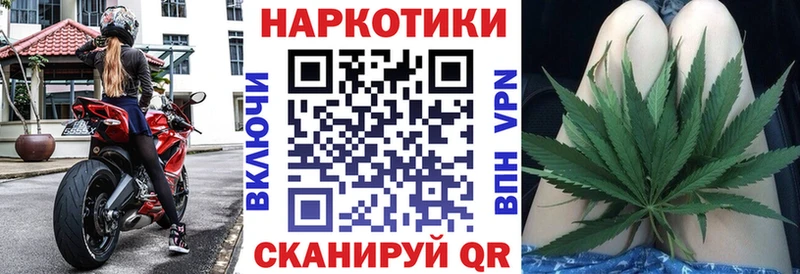 Наркотические вещества Новоржев Бошки Шишки  Кокаин  ГАШ  Меф мяу мяу 