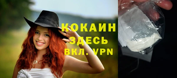 дурь Гусев