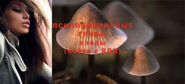 гашик Верхний Тагил