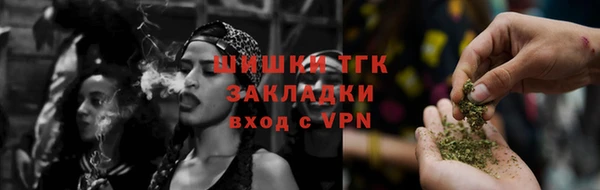 шишки Бронницы