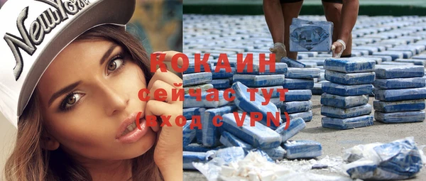 шишки Бронницы