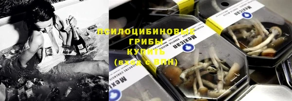 шишки Бронницы