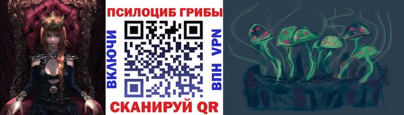 Галлюциногенные грибы Psilocybe закладка гидра ССЫЛКА Новоржев